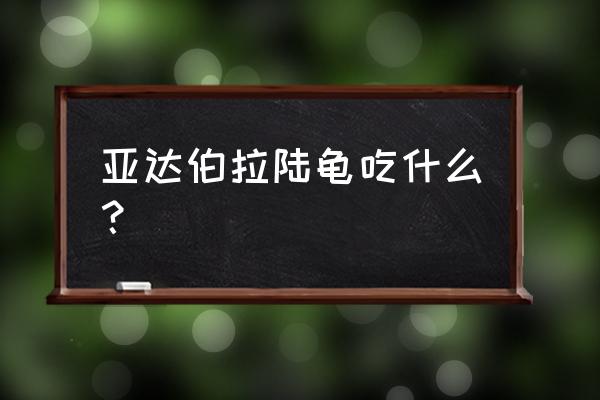 亚达伯拉象龟怎么饲养 亚达伯拉陆龟吃什么？