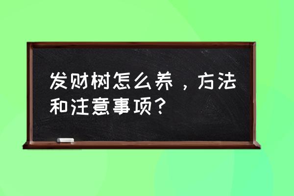 发财树养护方法及注意事项 发财树怎么养，方法和注意事项？