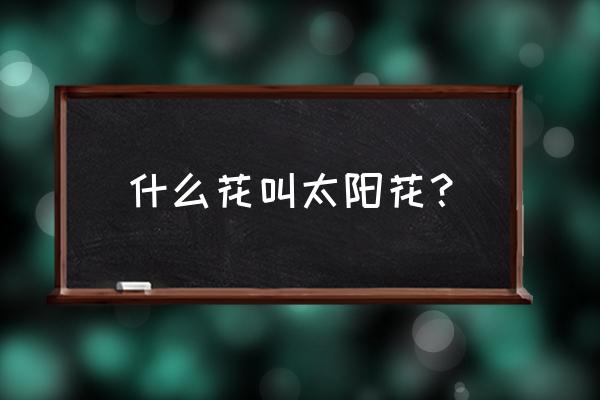 美丽的太阳花介绍 什么花叫太阳花？