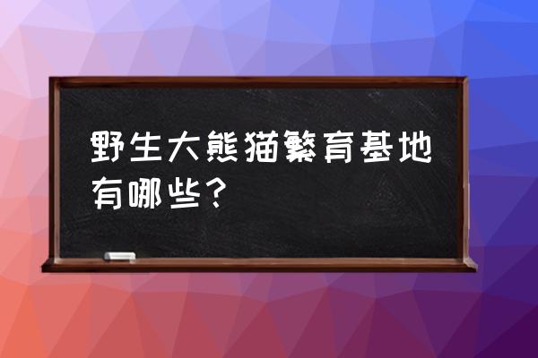 大熊猫繁育基地有几个 野生大熊猫繁育基地有哪些？