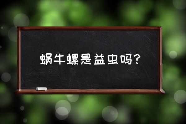 蜗牛到底是益虫还是害虫 蜗牛螺是益虫吗？