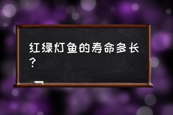 霓虹灯鱼寿命 红绿灯鱼的寿命多长？