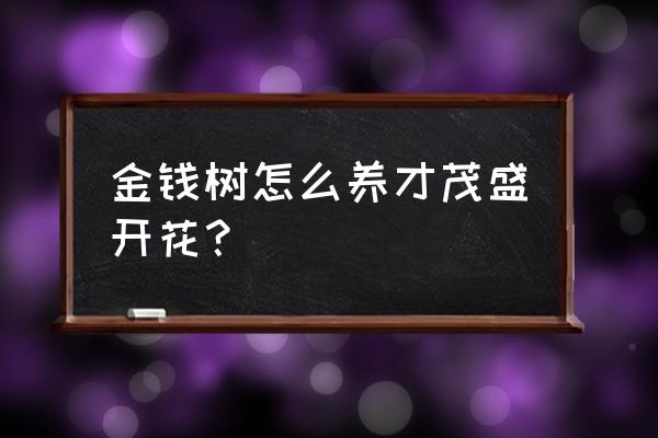 金钱树怎么养才茂盛 金钱树怎么养才茂盛开花？