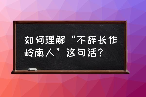 不辞长作岭南人谁写的 如何理解“不辞长作岭南人”这句话？