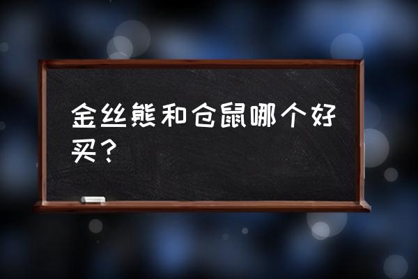 金丝熊和仓鼠哪个好 金丝熊和仓鼠哪个好买？