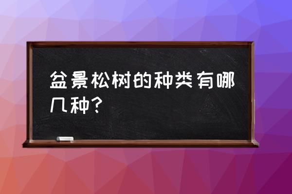 松树盆景都有哪些品种 盆景松树的种类有哪几种？