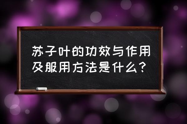 苏子叶的功效禁忌 苏子叶的功效与作用及服用方法是什么？