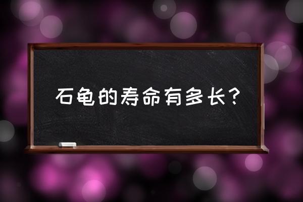 日本石龟寿命 石龟的寿命有多长？