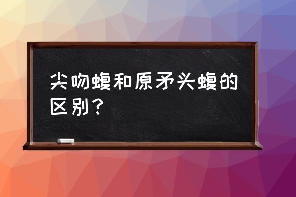 尖吻蝮和原矛头蝮哪个厉害 尖吻蝮和原矛头蝮的区别？