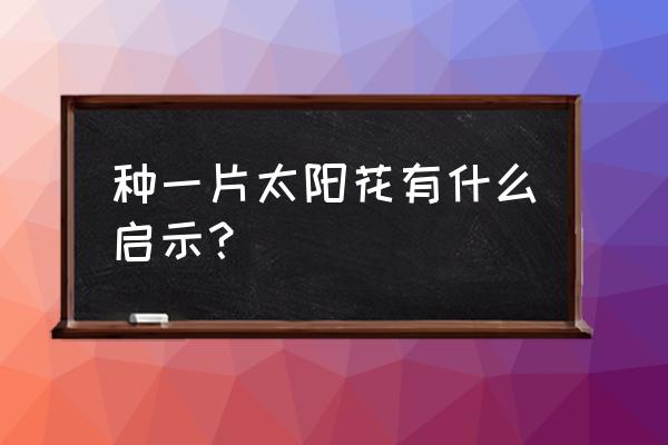 种一片太阳花感悟 种一片太阳花有什么启示？