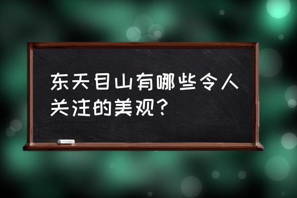 东天目山的现状 东天目山有哪些令人关注的美观？