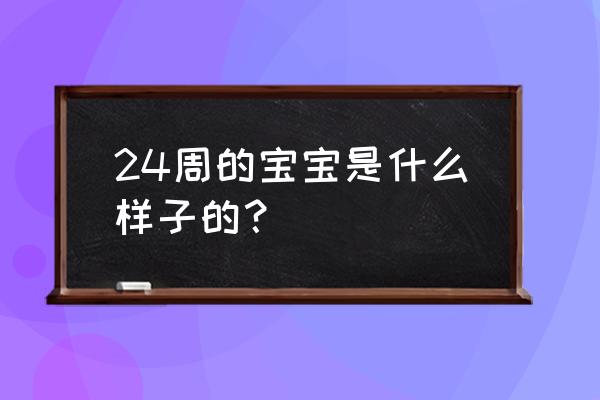 怀孕24周 24周的宝宝是什么样子的？