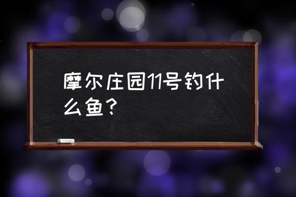 摩尔庄园钓鱼种类大全 摩尔庄园11号钓什么鱼？