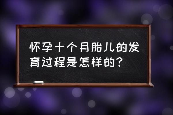 10个月的胎儿 怀孕十个月胎儿的发育过程是怎样的？