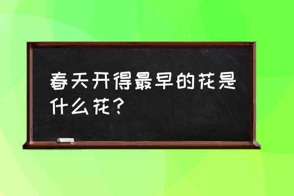 春天最早开的花是什么花 春天开得最早的花是什么花？