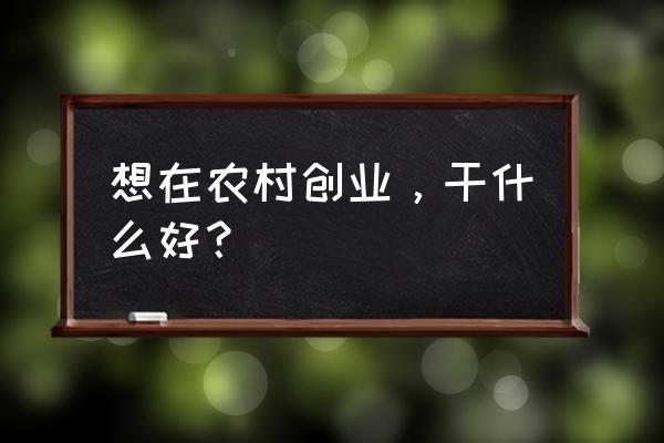 农村创业干什么好 想在农村创业，干什么好？