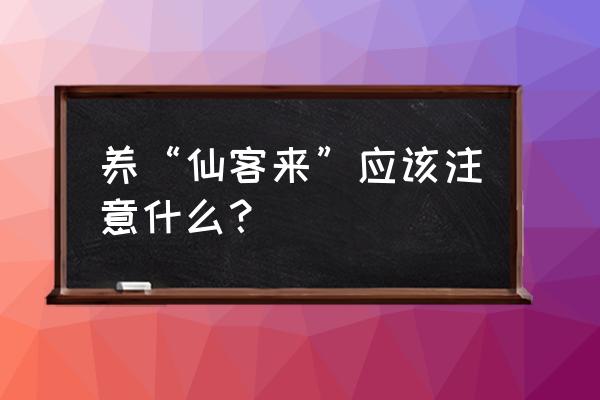 家里养仙客来的禁忌 养“仙客来”应该注意什么？