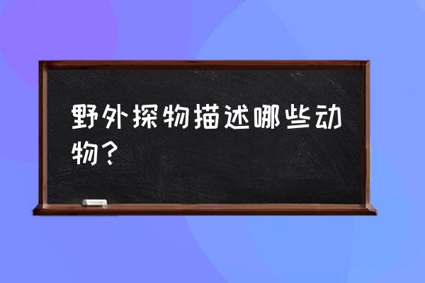 野外探险什么动物 野外探物描述哪些动物？