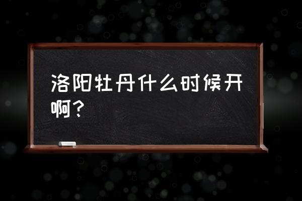 今年洛阳牡丹花什么时候开 洛阳牡丹什么时候开啊？