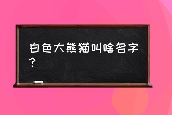 白色大熊猫叫什么名字 白色大熊猫叫啥名字？