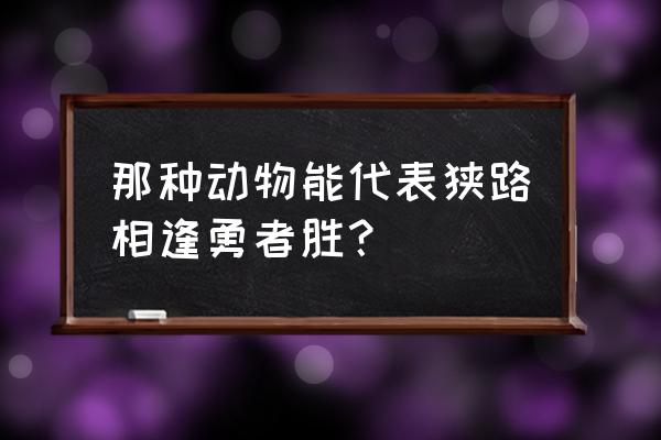 狭路相逢勇者胜是哪个动物 那种动物能代表狭路相逢勇者胜？