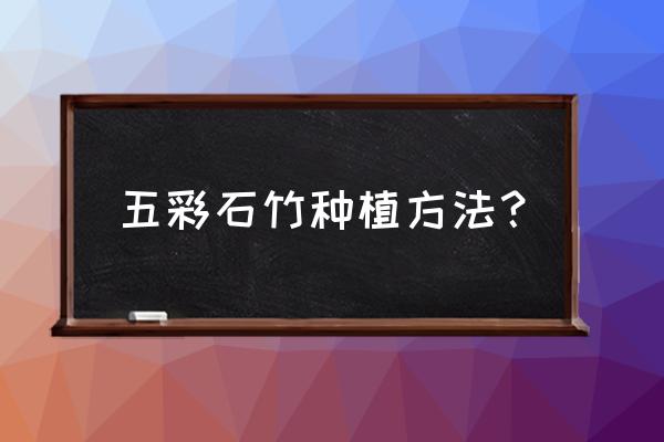 五彩石竹怎么种 五彩石竹种植方法？