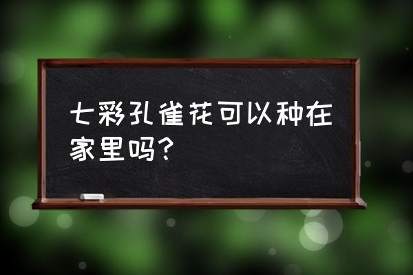 七彩鲜花可以种吗 七彩孔雀花可以种在家里吗？