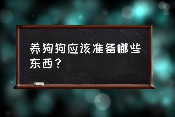 养狗常备的物品有哪些 养狗狗应该准备哪些东西？