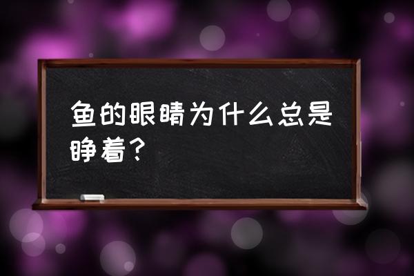 鱼的眼睛为什么是睁开的 鱼的眼睛为什么总是睁着？