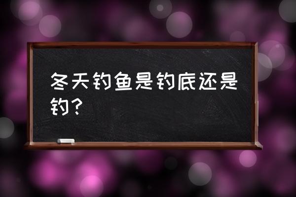 冬天钓鱼技巧是钓底吗 冬天钓鱼是钓底还是钓？