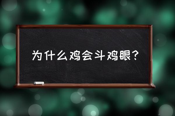 斗鸡眼为什么叫斗鸡眼 为什么鸡会斗鸡眼？