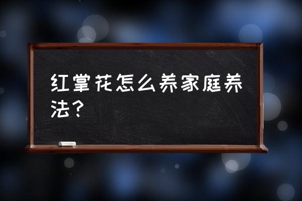 红掌花怎么养家庭养法 红掌花怎么养家庭养法？