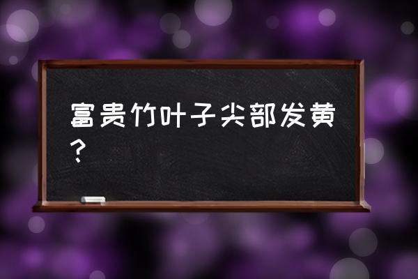 富贵竹叶子尖发黄怎么办 富贵竹叶子尖部发黄？