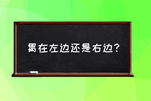 胃在哪边左还是右 胃在左边还是右边？