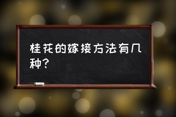 桂花嫁接方法 桂花的嫁接方法有几种？