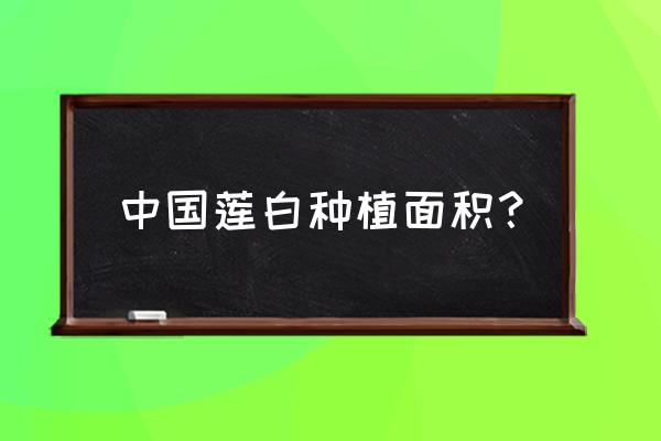 中国白莲之乡是那里 中国莲白种植面积？