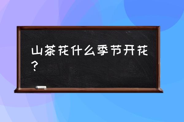 山茶花几月开花哪个季节 山茶花什么季节开花？