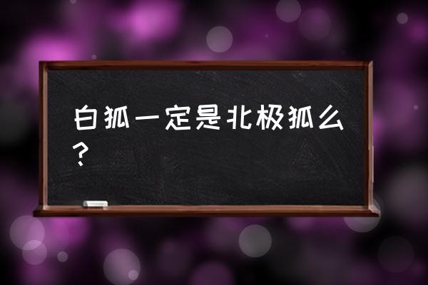 白狐 北极狐 白狐一定是北极狐么？