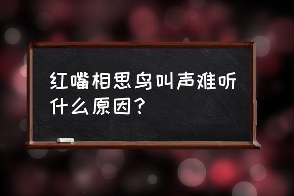 红嘴相思鸟的叫声 红嘴相思鸟叫声难听什么原因？