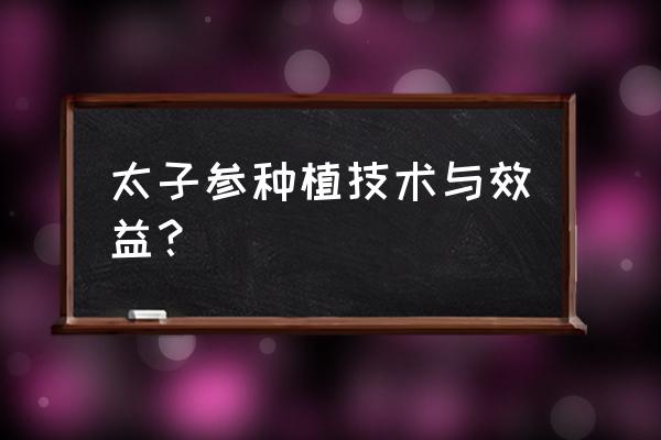 太子参种植效益 太子参种植技术与效益？