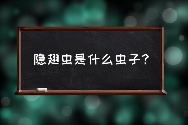 无毒隐翅虫和毒隐翅虫 隐翅虫是什么虫子？