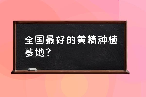 黄精产地主要有哪些地方 全国最好的黄精种植基地？