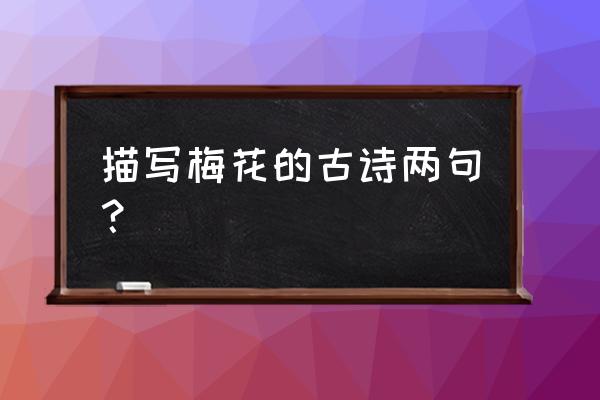 写出两首描写梅花的诗 描写梅花的古诗两句？