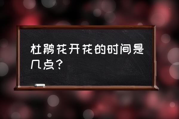 杜鹃花在一天之内几点开花 杜鹃花开花的时间是几点？