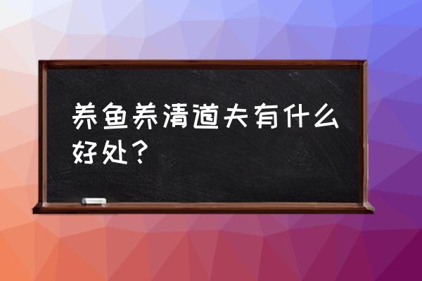 清道夫鱼的作用与功效 养鱼养清道夫有什么好处？