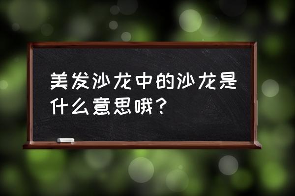 奇怪的美发沙龙 非凡影视 美发沙龙中的沙龙是什么意思哦？