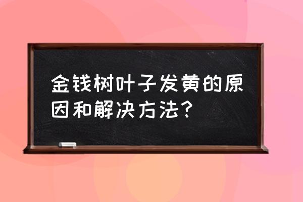 金钱树叶子一串发黄 金钱树叶子发黄的原因和解决方法？