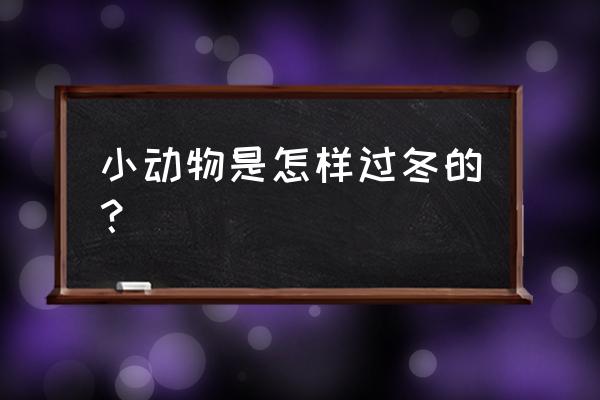 冬天小动物过冬的方式 小动物是怎样过冬的？