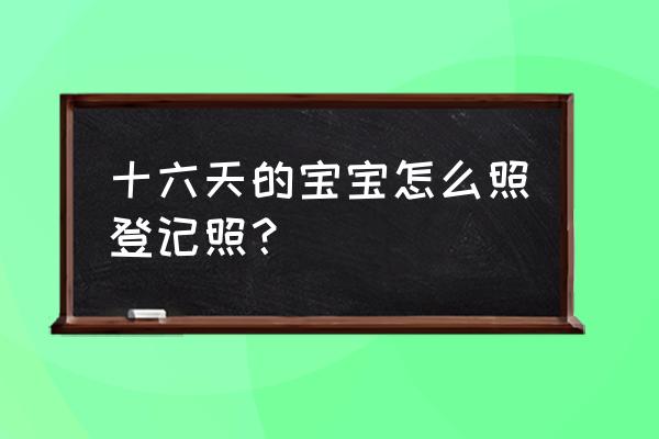 儿童登记照模板 十六天的宝宝怎么照登记照？