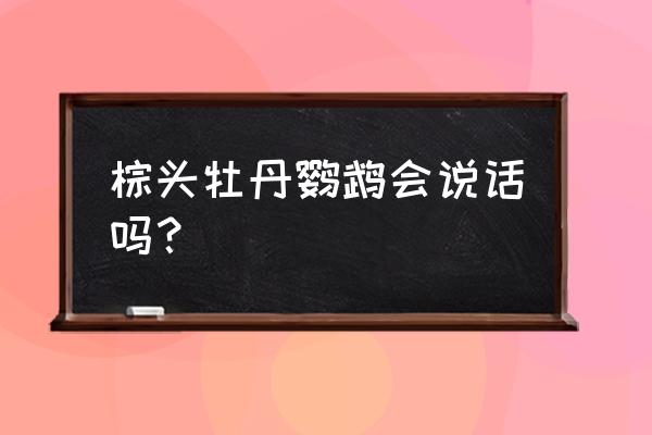 棕头牡丹鹦鹉会说话吗 棕头牡丹鹦鹉会说话吗？